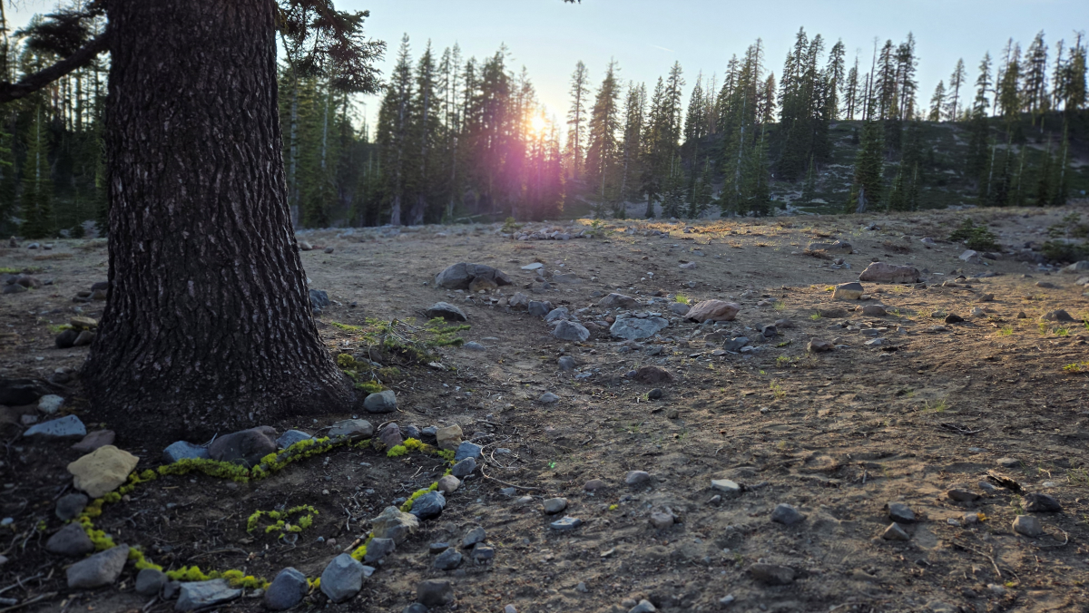 a tree trunk stands on a mountain landscape at sunset; a circle of stones shaped into a heart are placed before it