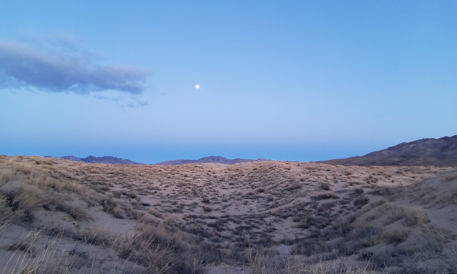 moon rising over the desert, a single gray cloud crosses the scene